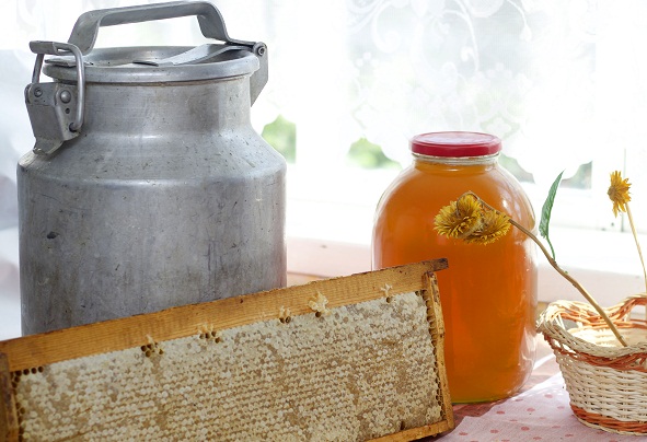 Лечимся медом, полезные и лечебные свойства меда